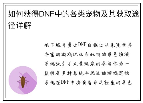 如何获得DNF中的各类宠物及其获取途径详解